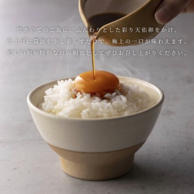 【毎月定期便】平飼い八雲鶏　彩り天佑卵(てんゆうらん) 10個入×1パック　計10個全12回