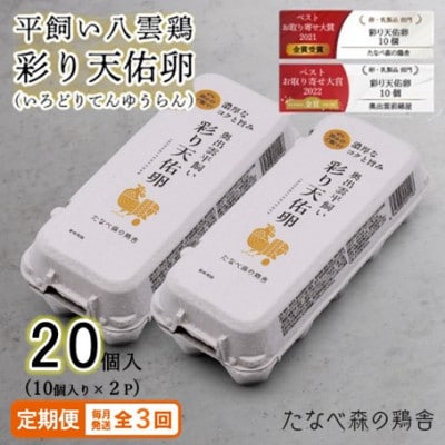 【毎月定期便】平飼い八雲鶏　彩り天佑卵(てんゆうらん) 10個入×2パック　計20個全3回