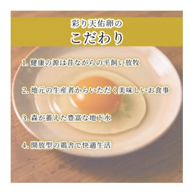 【毎月定期便】平飼い八雲鶏　彩り天佑卵(てんゆうらん) 10個入×2パック　計20個全6回