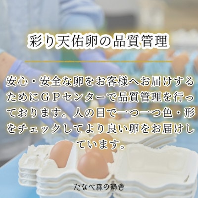 【毎月定期便】平飼い八雲鶏　彩り天佑卵(てんゆうらん) 10個入×2パック　計20個全6回