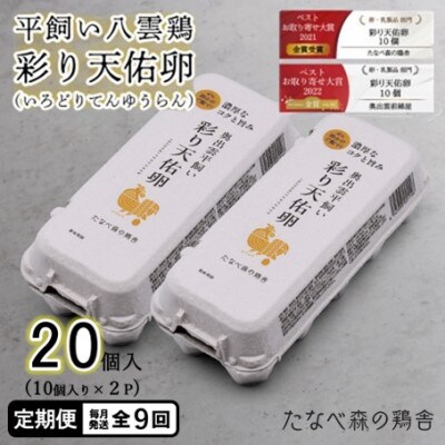 【毎月定期便】平飼い八雲鶏　彩り天佑卵(てんゆうらん) 10個入×2パック　計20個全9回
