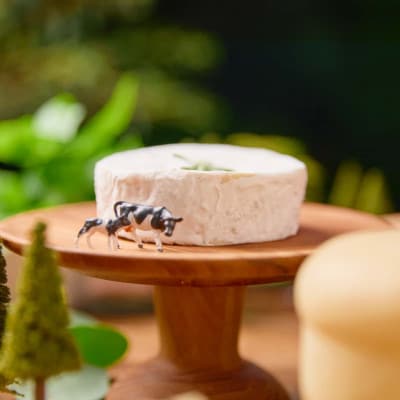カマンベール・イズモ(120g)
