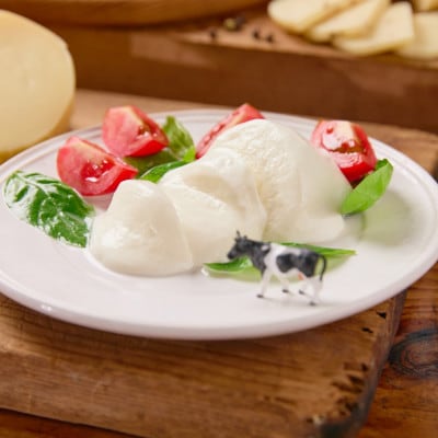 モッツァレラチーズ(100g)