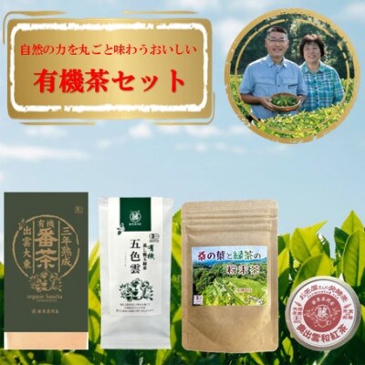 自然の力を丸ごと味わう おいしい有機茶セット