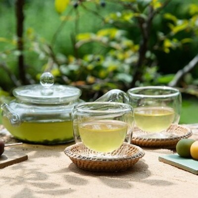 自然の力を丸ごと味わう おいしい有機茶セット