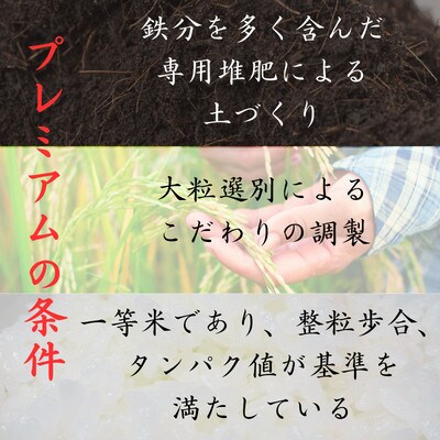 【毎月定期便】雲南市プレミアムつや姫たたら焔米4kg(2kg×2袋)(雲南市)全3回