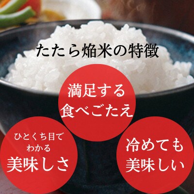 【毎月定期便】雲南市プレミアムつや姫たたら焔米4kg(2kg×2袋)(雲南市)全6回