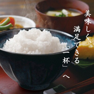 【毎月定期便】雲南市プレミアムつや姫たたら焔米4kg(2kg×2袋)(雲南市)全12回