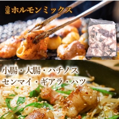 【奥出雲和牛】和牛日本一のミックスホルモン (500g×1袋)(雲南市)