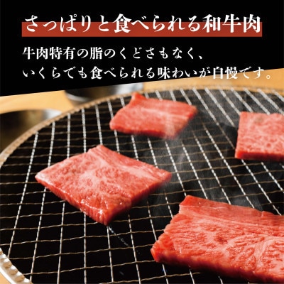 奥出雲和牛肩ロース焼肉用 400g 和牛オリンピック「第1位」&「脂肪の質」W受賞!(雲南市)