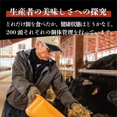 【毎月定期便】奥出雲和牛サーロインステーキ 600g(200×3枚)(雲南市)全6回