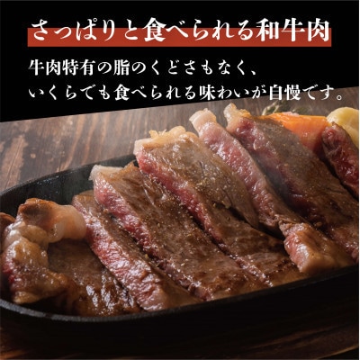 【毎月定期便】奥出雲和牛サーロインステーキ 200g×3枚(雲南市)全12回