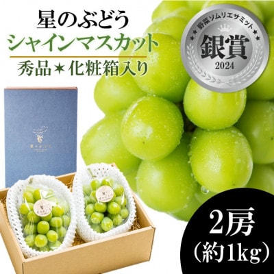 令和8年夏から順次発送　島根県産・星のぶどうシャインマスカット　2房(約1kg)[化粧箱入]