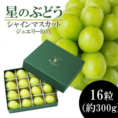 令和7年夏から順次発送「星のぶどう」シャインマスカット ジュエリーBOX 16粒[秀品・化粧箱入り]