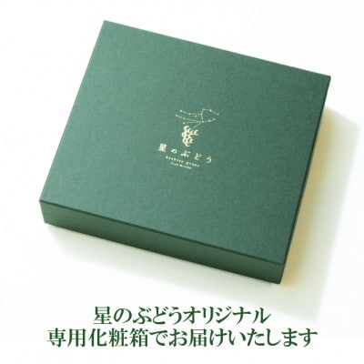 令和7年夏から順次発送「星のぶどう」シャインマスカット ジュエリーBOX 16粒[秀品・化粧箱入り]
