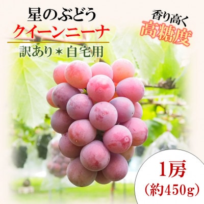 令和7年夏から順次発送「星のぶどう」 クイーンニーナ1房(約450g)[訳あり・ご自宅用]