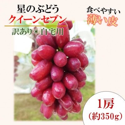 令和7年夏から順次発送「星のぶどう」 クイーンセブン1房(約350g)[訳あり・ご自宅用]