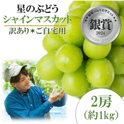 令和8年夏から順次発送 島根県産星のぶどう シャインマスカット2房(約1kg)【訳あり・ご自宅用】