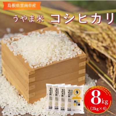 令和7年産・神話の里/雲南市吉田町「うやま米」コシヒカリ8kg(2kg×4)