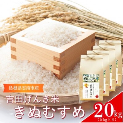 島根県雲南市産「吉田げんき米」きぬむすめ20kg(5kg×4)