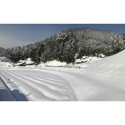 島根県雲南市産「吉田げんき米」コシヒカリ20kg(5kg×4)