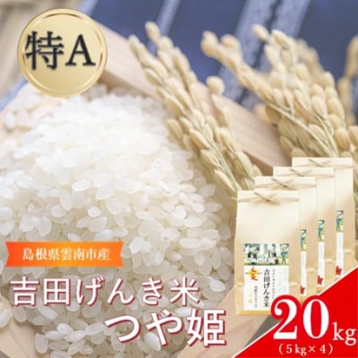 島根県雲南市産　吉田げんき米　つや姫　20kg(5kg×4)