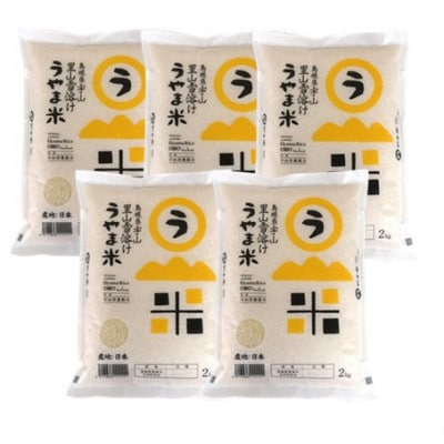 【無洗米】神話の里/吉田町「うやま米」コシヒカリ 10kg(2kg×5)