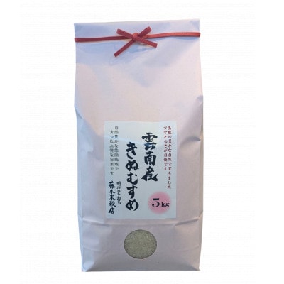 島根県雲南市産きぬむすめ 5kg(5kg×1)