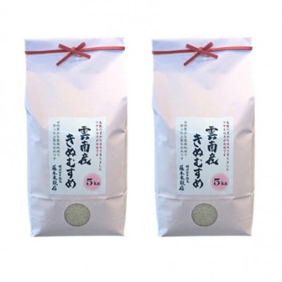 島根県雲南市産きぬむすめ 10kg(5kg×2)