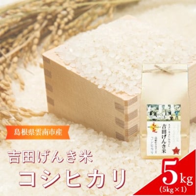 島根県雲南市産　吉田げんき米　コシヒカリ　5kg(5kg×1)