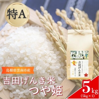 島根県雲南市産　吉田げんき米　つや姫 　5kg(5kg×1)