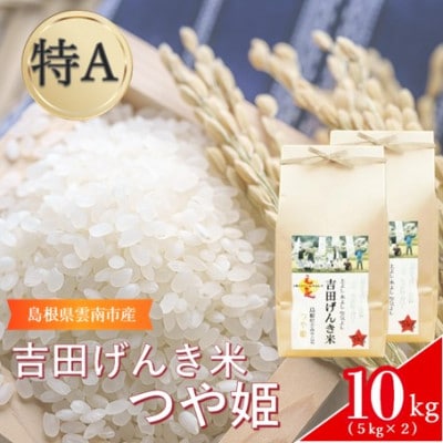 島根県雲南市産　吉田げんき米　つや姫　10kg(5kg×2)