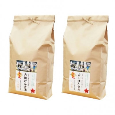 島根県雲南市産　吉田げんき米　つや姫　10kg(5kg×2)