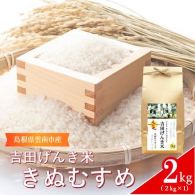 島根県雲南市産　吉田げんき米　きぬむすめ　2kg(2kg×1)