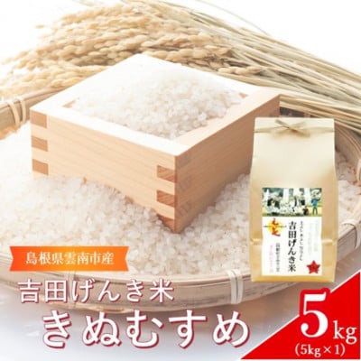 島根県雲南市産　吉田げんき米　きぬむすめ　5kg(5kg×1)