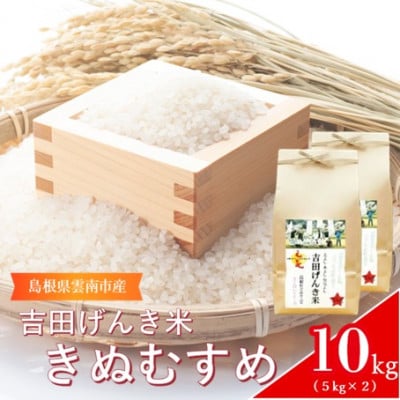 島根県雲南市産　吉田げんき米　きぬむすめ　10kg(5kg×2)