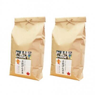島根県雲南市産　吉田げんき米　きぬむすめ　10kg(5kg×2)