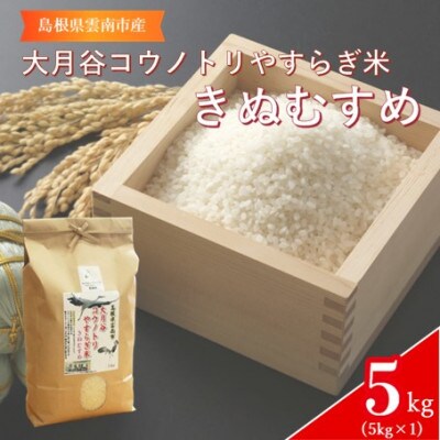 島根県雲南市「大月谷コウノトリやすらぎ米」きぬむすめ　5kg(5kg×1)