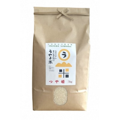 【毎月定期便】神話の里/吉田町「うやま米」つや姫 5kg(5kg×1)全3回