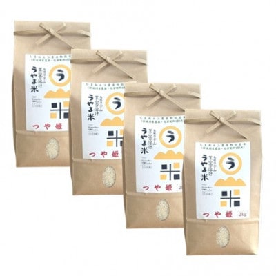 【毎月定期便】【無洗米】神話の里/吉田町「うやま米」つや姫 8kg(2kg×4)全3回