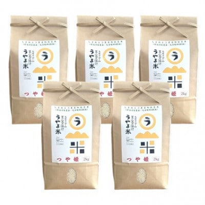 【毎月定期便】【無洗米】神話の里/吉田町「うやま米」つや姫 10kg(2kg×5)全3回