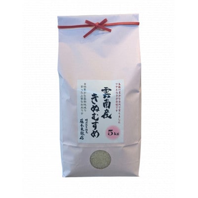 【毎月定期便】島根県雲南市産きぬむすめ 5kg(5kg×1)全3回