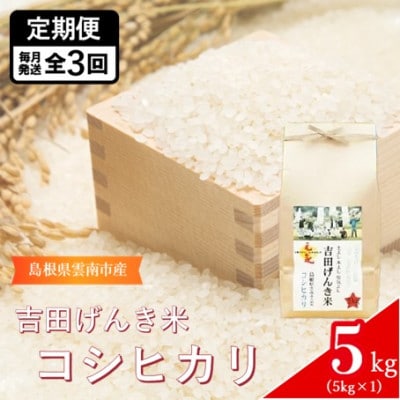 【毎月定期便】島根県雲南市産　吉田げんき米　コシヒカリ　5kg(5kg×1)全3回