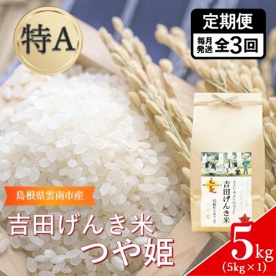 【毎月定期便】島根県雲南市産　吉田げんき米　つや姫 　5kg(5kg×1)全3回