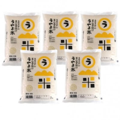 【毎月定期便】神話の里/島根県雲南市吉田町「うやま米」コシヒカリ10kg(2kg×5)全3回