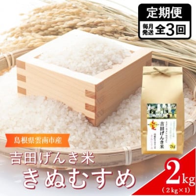 【毎月定期便】島根県雲南市産　吉田げんき米　きぬむすめ　2kg(2kg×1)全3回