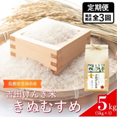【毎月定期便】島根県雲南市産　吉田げんき米　きぬむすめ　5kg(5kg×1)全3回
