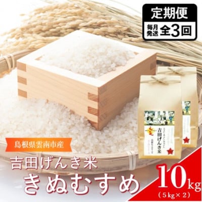 【毎月定期便】島根県雲南市産　吉田げんき米　きぬむすめ　10kg(5kg×2)全3回