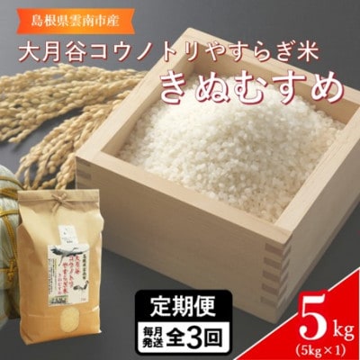 【毎月定期便】島根県雲南市「大月谷コウノトリやすらぎ米」きぬむすめ　5kg(5kg×1)全3回