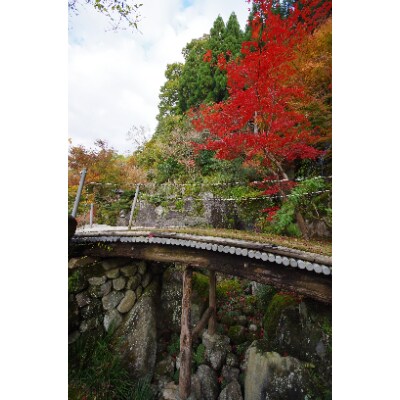 回遊式日本庭園「石照庭園」お食事付きペアチケット